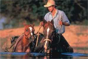 Horse Back Safaris Kwa Madwala Game Reserve Horse Back Safaris Kwa Madwala Game Reserve